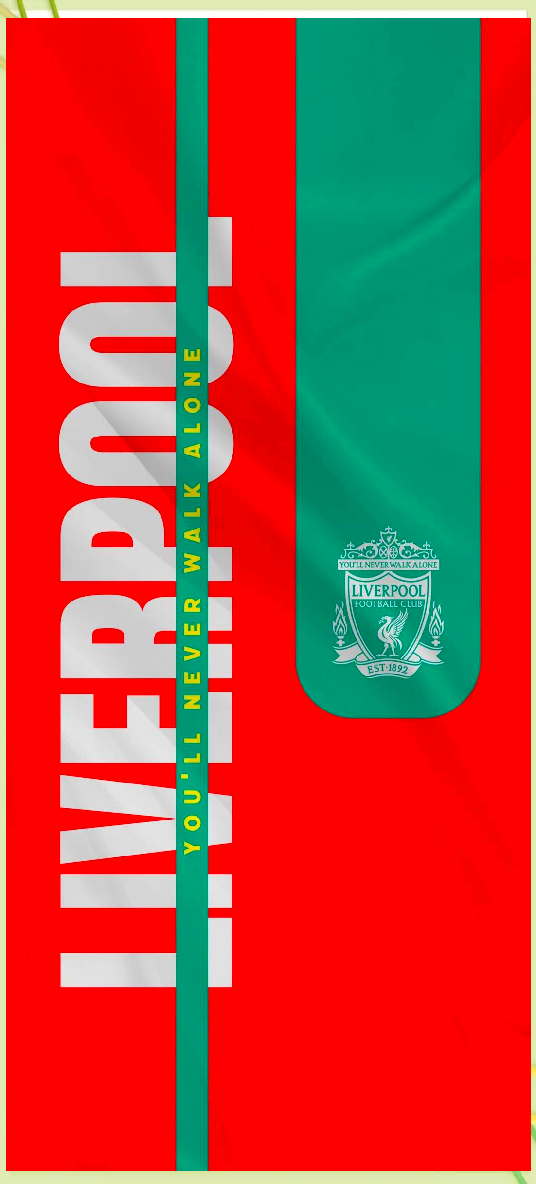 篮球勇士全队战术执行效率提升